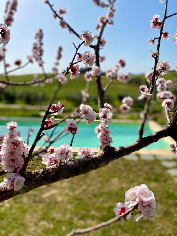 B&B Monte Di Bu Bagno Roselle Kültér fotó