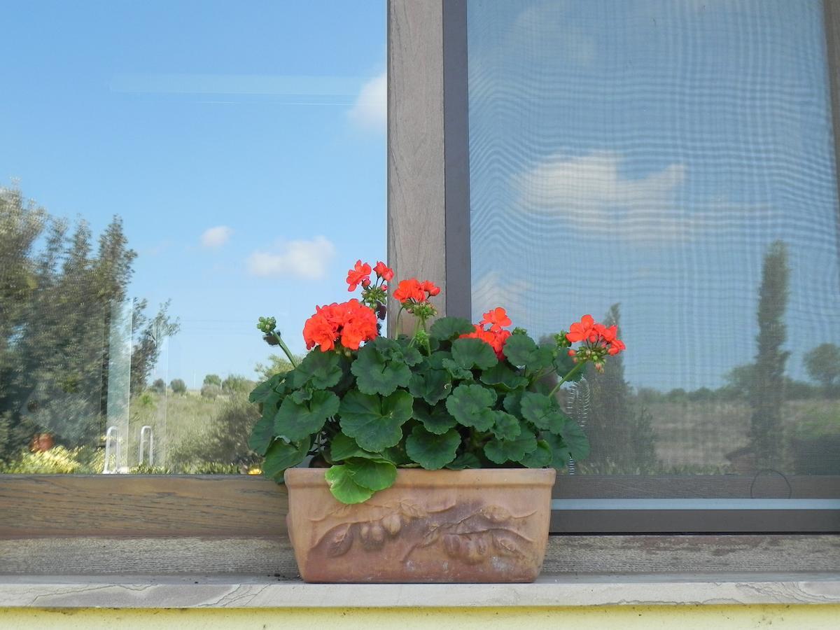 B&B Monte Di Bu Bagno Roselle Kültér fotó