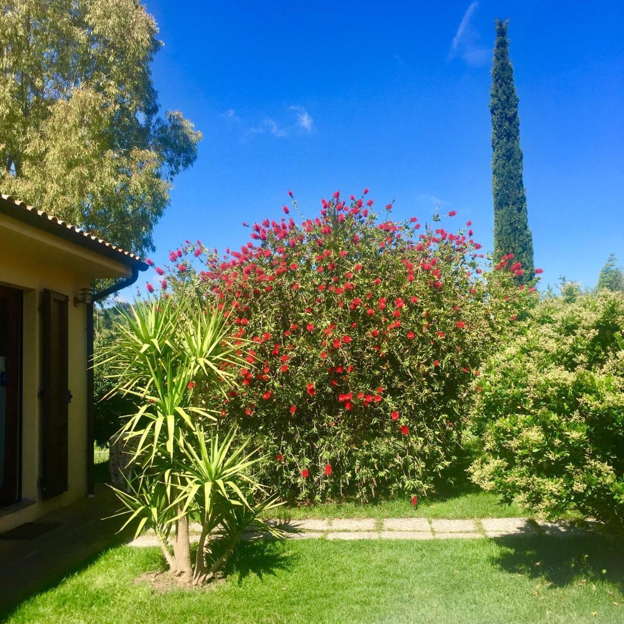 B&B Monte Di Bu Bagno Roselle Kültér fotó