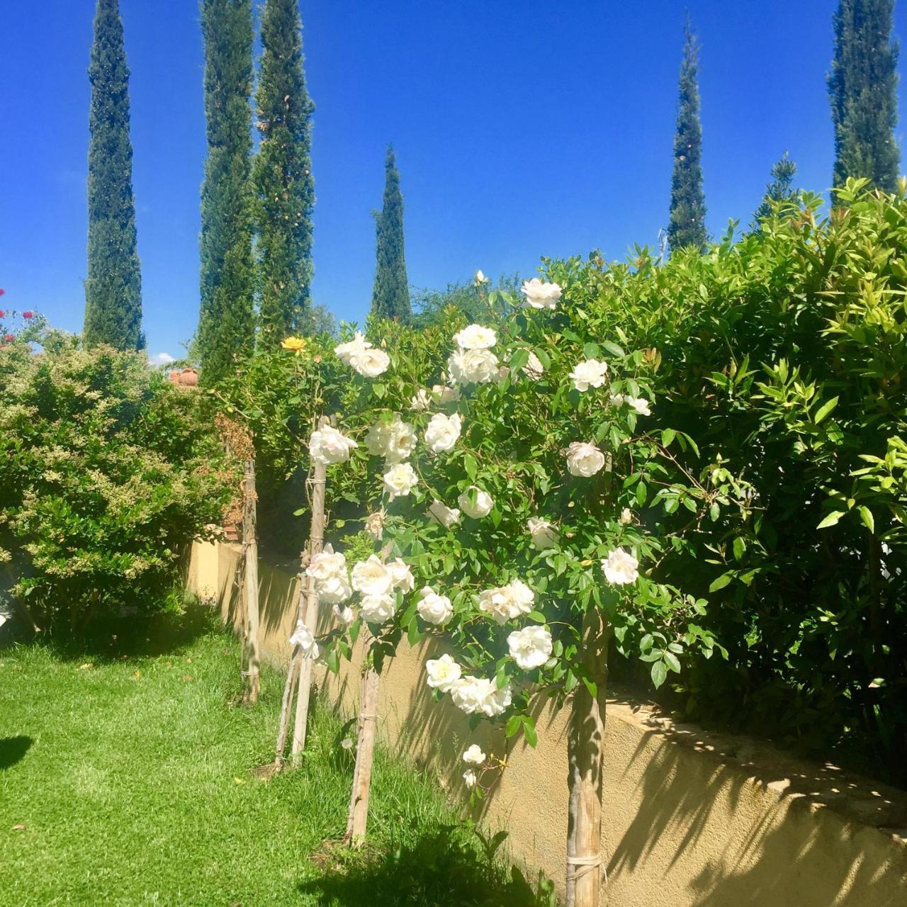 B&B Monte Di Bu Bagno Roselle Kültér fotó