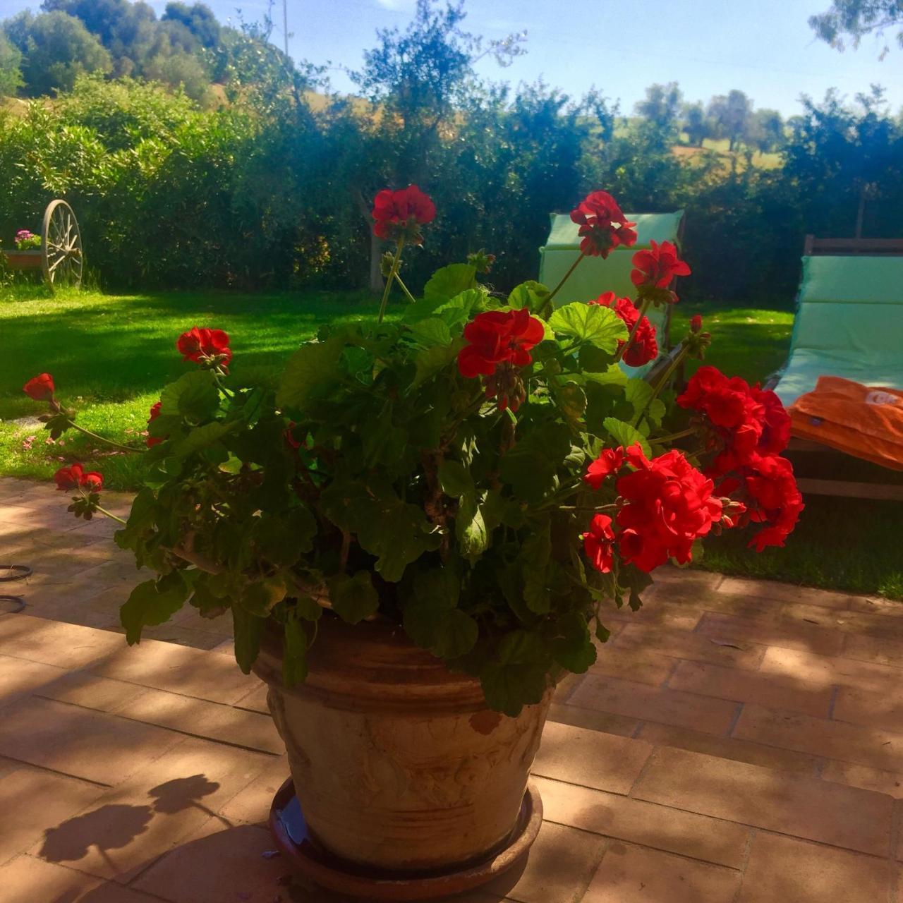 B&B Monte Di Bu Bagno Roselle Kültér fotó
