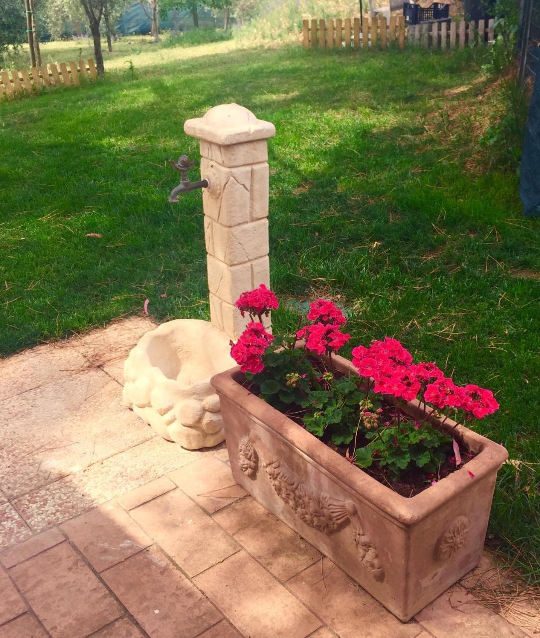 B&B Monte Di Bu Bagno Roselle Kültér fotó