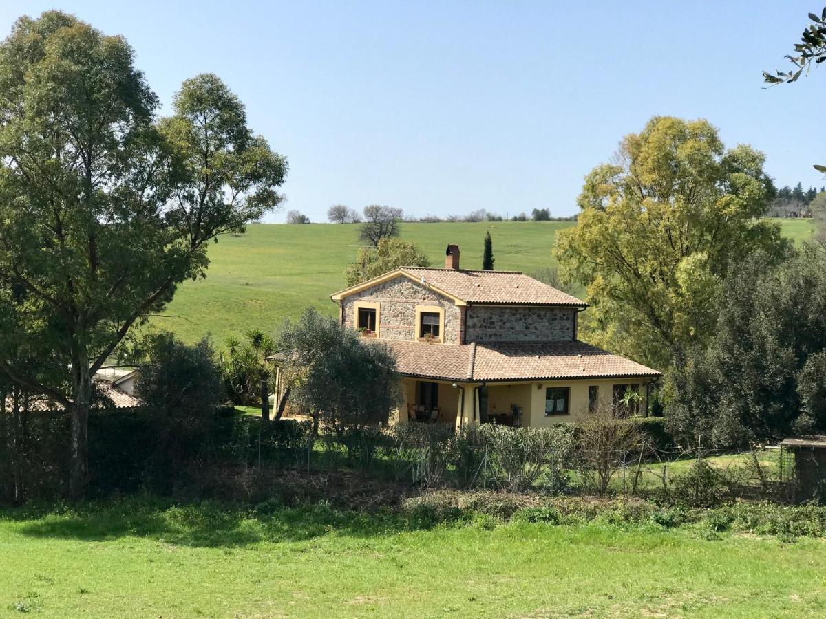 B&B Monte Di Bu Bagno Roselle Kültér fotó